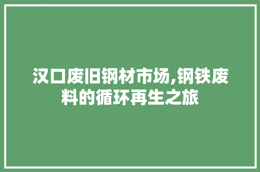 汉口废旧钢材市场,钢铁废料的循环再生之旅