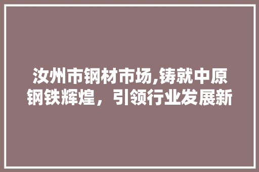 汝州市钢材市场,铸就中原钢铁辉煌，引领行业发展新篇章