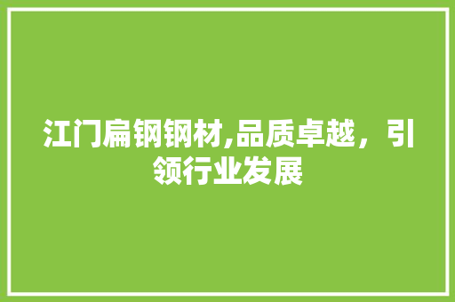 江门扁钢钢材,品质卓越，引领行业发展