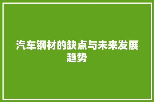 汽车钢材的缺点与未来发展趋势