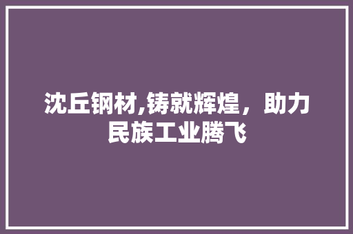 沈丘钢材,铸就辉煌，助力民族工业腾飞