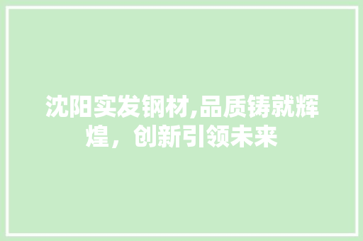 沈阳实发钢材,品质铸就辉煌，创新引领未来