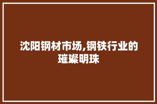 沈阳钢材市场,钢铁行业的璀璨明珠