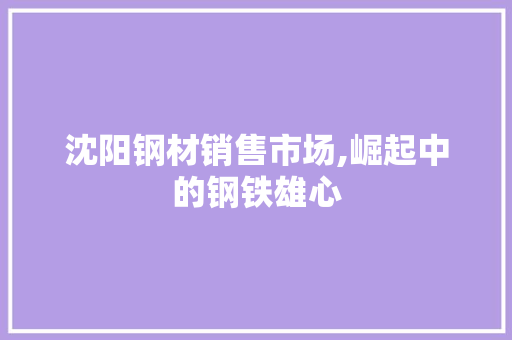 沈阳钢材销售市场,崛起中的钢铁雄心