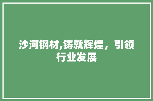 沙河钢材,铸就辉煌，引领行业发展