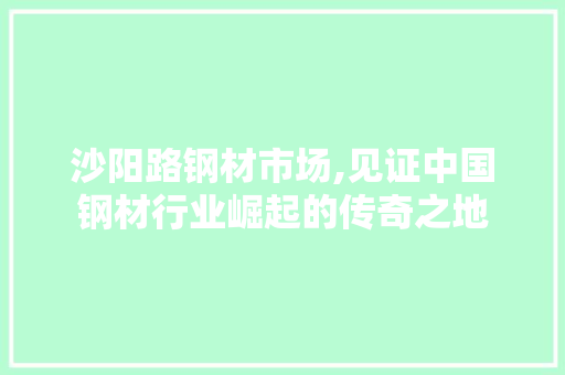 沙阳路钢材市场,见证中国钢材行业崛起的传奇之地