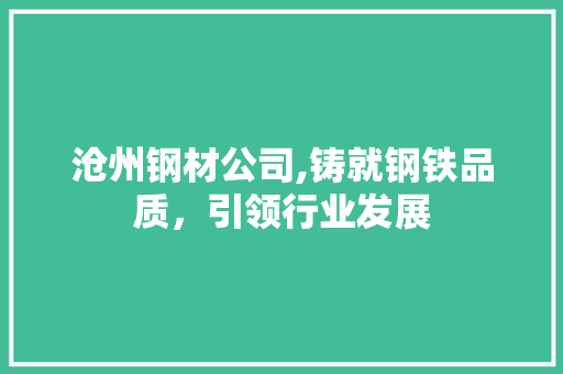 沧州钢材公司,铸就钢铁品质，引领行业发展