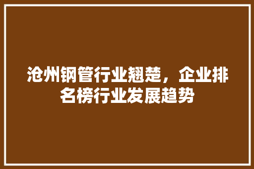 沧州钢管行业翘楚，企业排名榜行业发展趋势