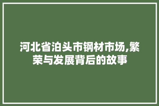河北省泊头市钢材市场,繁荣与发展背后的故事