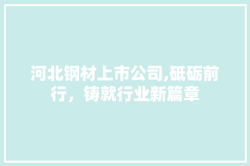 河北钢材上市公司,砥砺前行，铸就行业新篇章