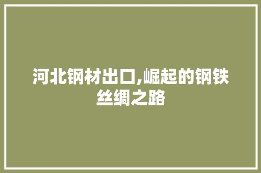 河北钢材出口,崛起的钢铁丝绸之路