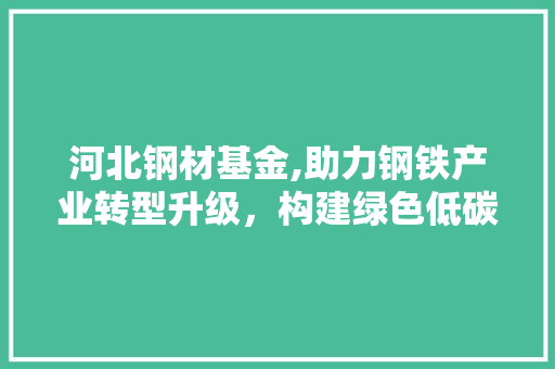 河北钢材基金,助力钢铁产业转型升级，构建绿色低碳发展新格局