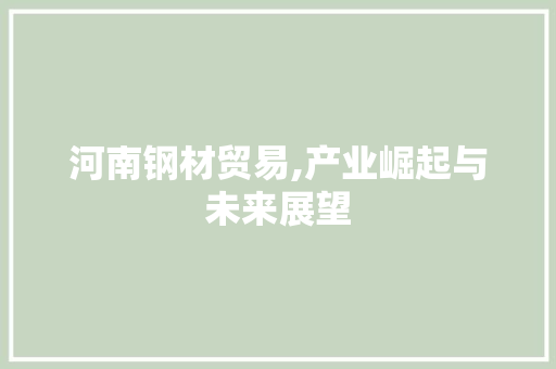 河南钢材贸易,产业崛起与未来展望