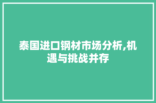 泰国进口钢材市场分析,机遇与挑战并存