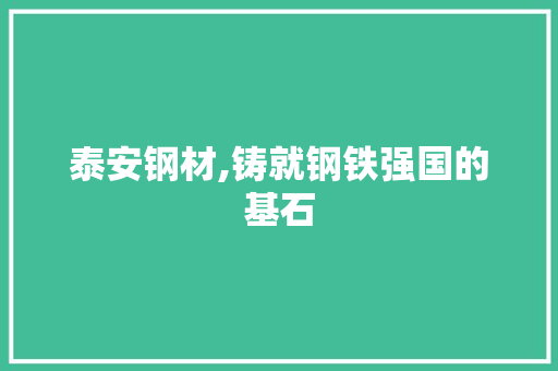 泰安钢材,铸就钢铁强国的基石