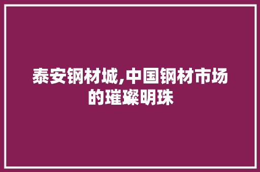 泰安钢材城,中国钢材市场的璀璨明珠