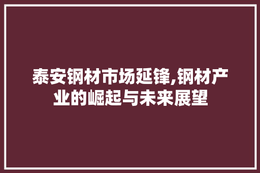 泰安钢材市场延锋,钢材产业的崛起与未来展望