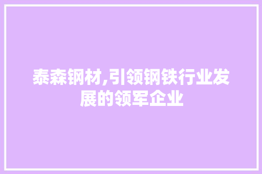 泰森钢材,引领钢铁行业发展的领军企业