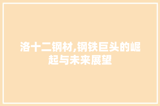 洛十二钢材,钢铁巨头的崛起与未来展望