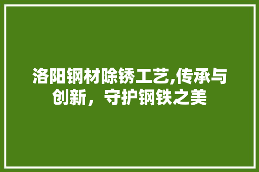 洛阳钢材除锈工艺,传承与创新，守护钢铁之美
