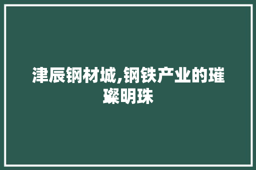 津辰钢材城,钢铁产业的璀璨明珠