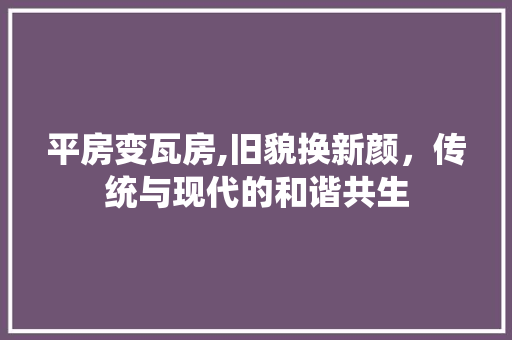 平房变瓦房,旧貌换新颜，传统与现代的和谐共生 装修材料