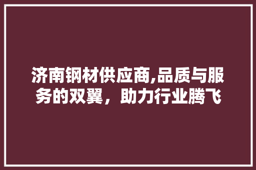 济南钢材供应商,品质与服务的双翼,助力行业腾飞