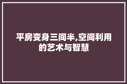 平房变身三间半,空间利用的艺术与智慧