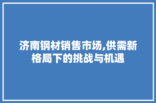 济南钢材销售市场,供需新格局下的挑战与机遇