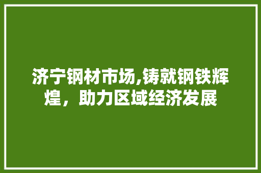 济宁钢材市场,铸就钢铁辉煌，助力区域经济发展 隔断设计