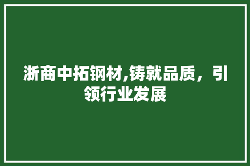 浙商中拓钢材,铸就品质,引领行业发展