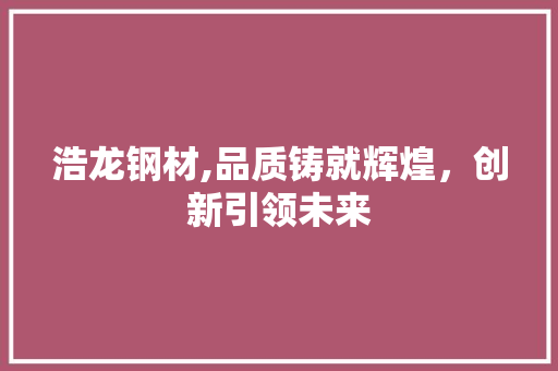 浩龙钢材,品质铸就辉煌，创新引领未来
