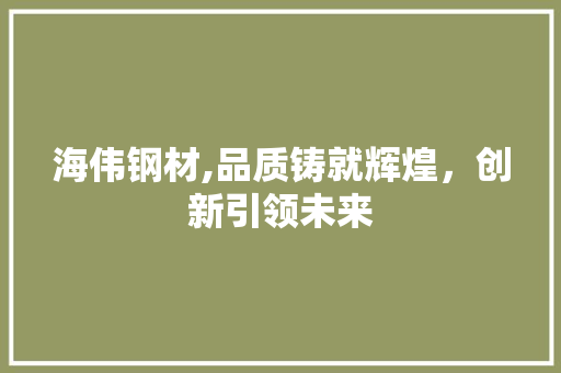 海伟钢材,品质铸就辉煌,创新引领未来 建筑设计 海伟钢材,品质铸就辉煌,创新引领未来 建筑设计