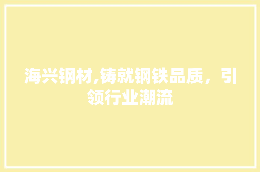 海兴钢材,铸就钢铁品质，引领行业潮流 地面装修