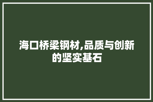 海口桥梁钢材,品质与创新的坚实基石 庭院装修