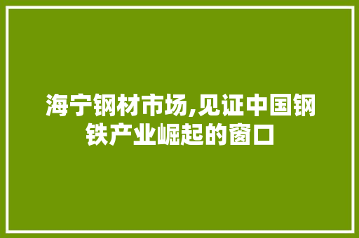 海宁钢材市场,见证中国钢铁产业崛起的窗口