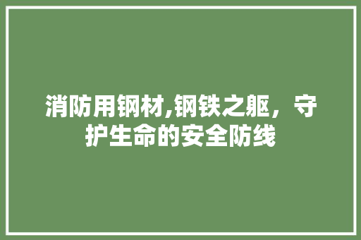 消防用钢材,钢铁之躯，守护生命的安全防线