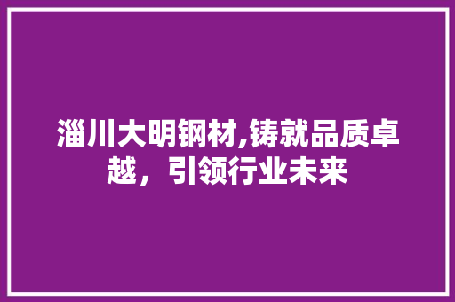淄川大明钢材,铸就品质卓越，引领行业未来