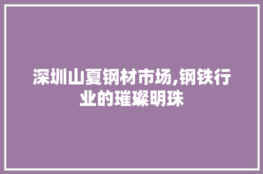 深圳山夏钢材市场,钢铁行业的璀璨明珠