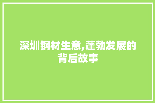 深圳钢材生意,蓬勃发展的背后故事