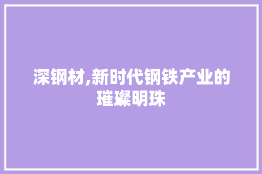 深钢材,新时代钢铁产业的璀璨明珠