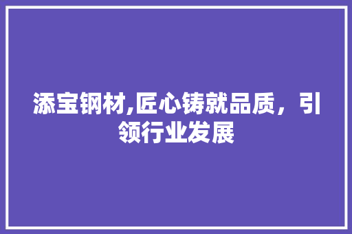 添宝钢材,匠心铸就品质，引领行业发展