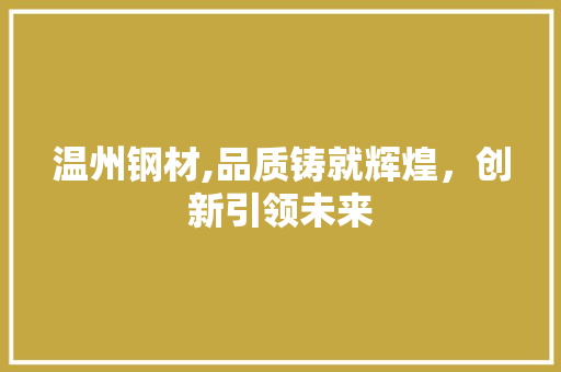 温州钢材,品质铸就辉煌，创新引领未来