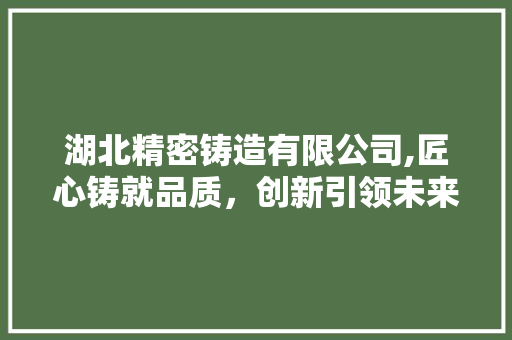 湖北精密铸造有限公司,匠心铸就品质,创新引领未来