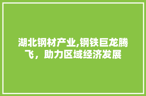 湖北钢材产业,钢铁巨龙腾飞，助力区域经济发展