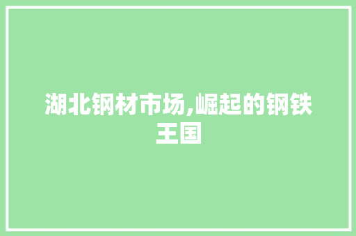 湖北钢材市场,崛起的钢铁王国