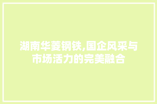 湖南华菱钢铁,国企风采与市场活力的完美融合