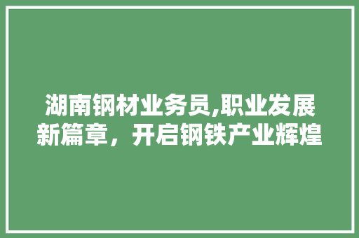 湖南钢材业务员,职业发展新篇章，开启钢铁产业辉煌未来