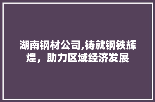 湖南钢材公司,铸就钢铁辉煌，助力区域经济发展