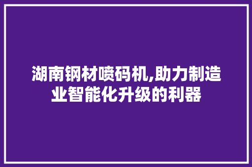 湖南钢材喷码机,助力制造业智能化升级的利器